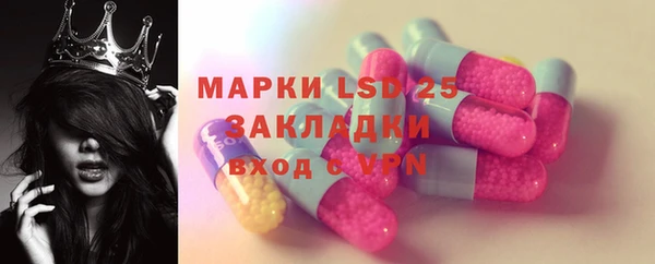 ГАЛЛЮЦИНОГЕННЫЕ ГРИБЫ Алзамай